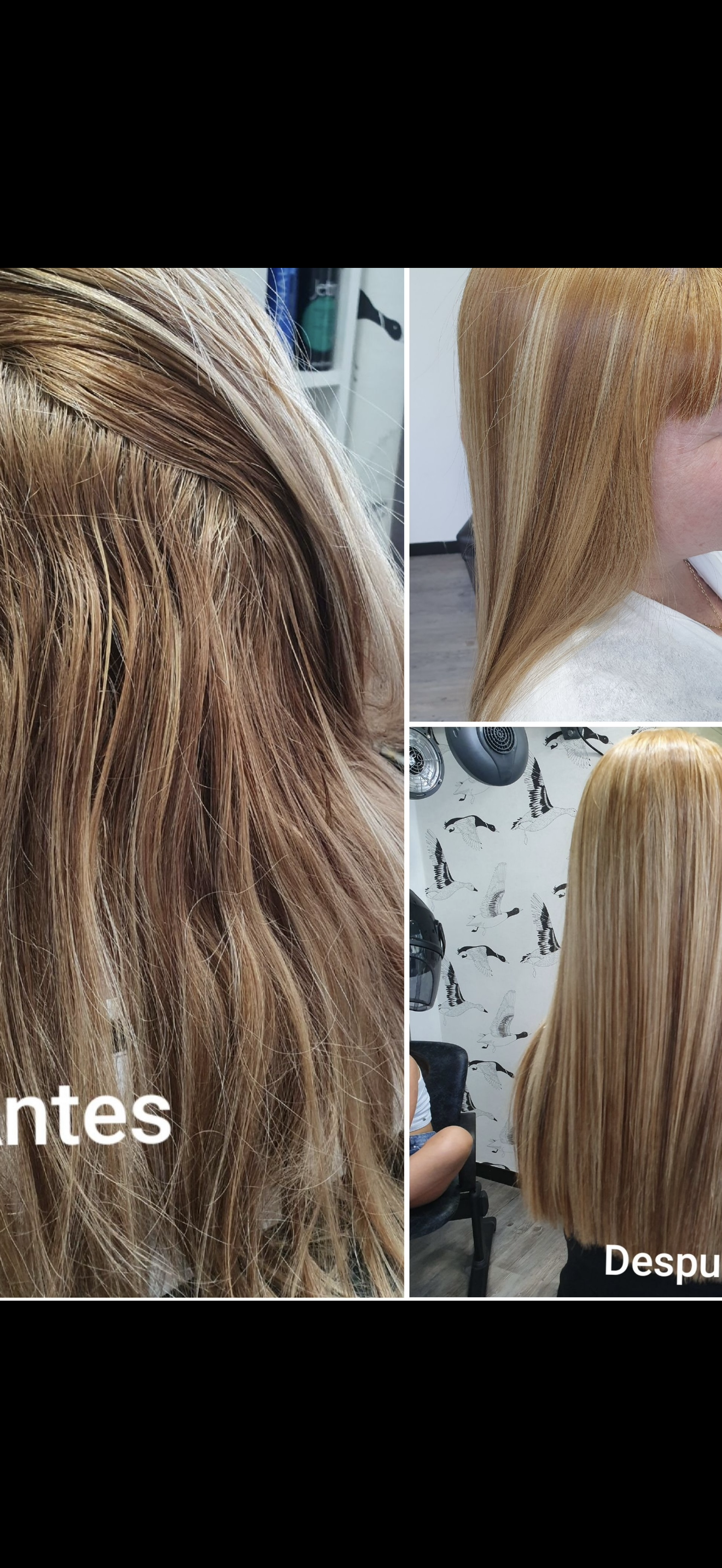 Antes y después de tratamiento capilar profesional - Transformación rubio